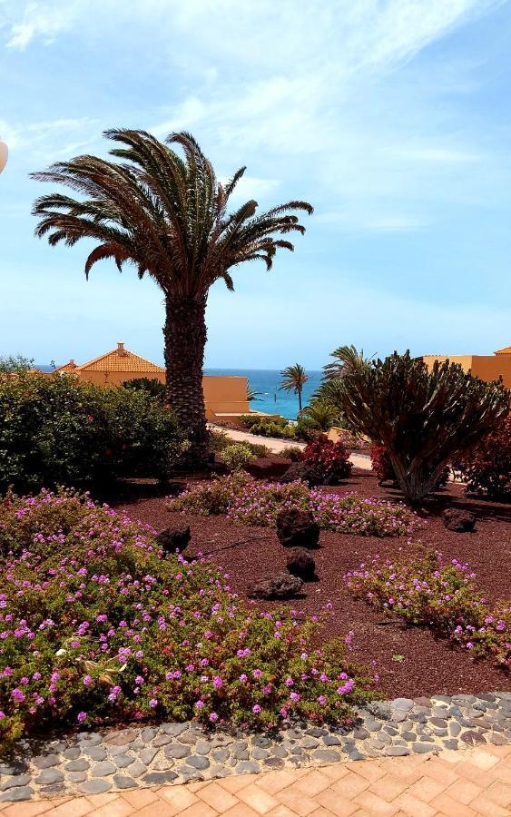 Grani Mar Costa Calma Exterior foto